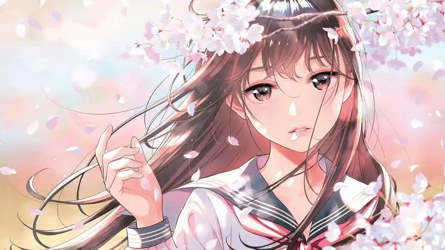 宽屏推荐